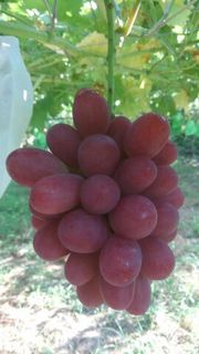 D74BDE58-F0DA-4319-98CB-312027E07C89.jpeg